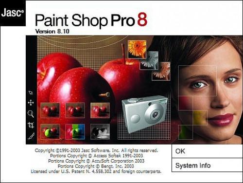 Cómo configurar Windows Vista para que sea compatible con Paint Shop Pro 8