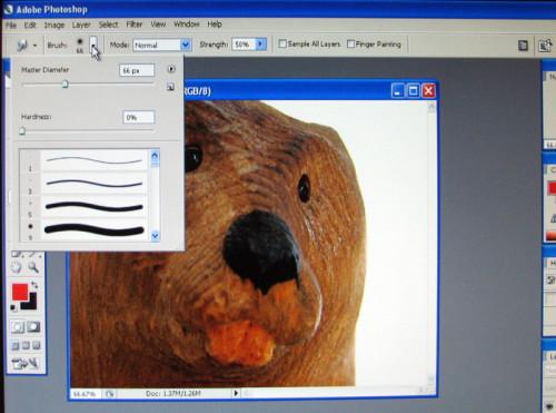 Cómo utilizar una herramienta Dedo en Adobe Photoshop CS2