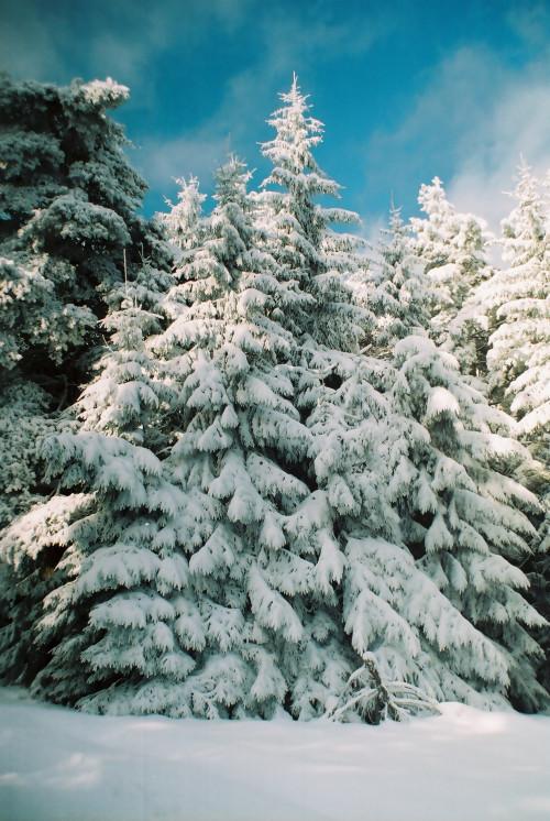 Cómo utilizar los filtros de Photoshop en las imágenes del paisaje de invierno