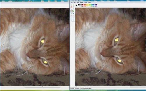 Cómo comparar los archivos GIF a archivos JPEG