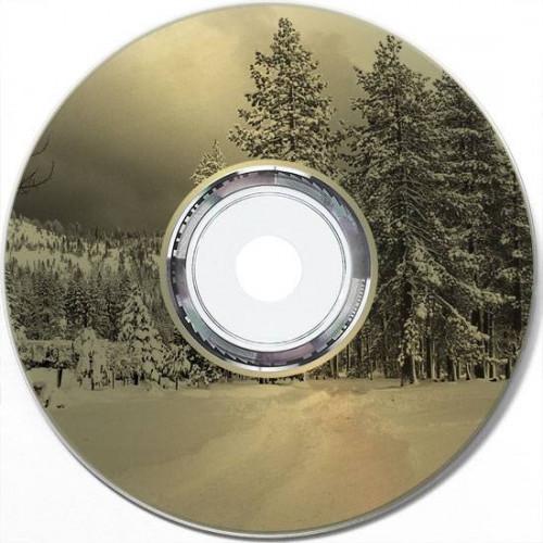 ¿Qué es un CD Lightscribe?