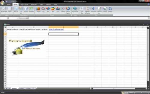 Cómo utilizar una hoja de cálculo de Excel para hacer un directorio de base de datos Web
