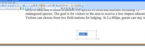 Cómo hacer un pie de página en un archivo PDF en formato PDF Annotator