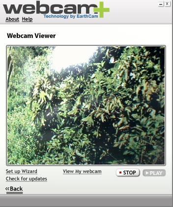 Cómo crear mi propia página de webcam