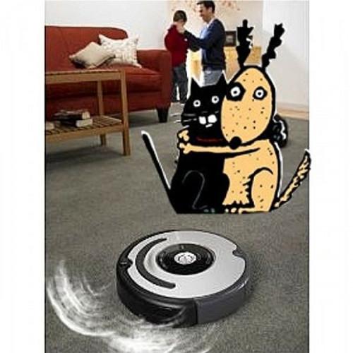 Cómo RHUMBA con el Roomba: Elegir el mejor modelo de vacío para sus necesidades