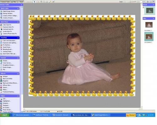 Cómo agregar o Cree Sellos de fotos con el software Microsoft Digital Image