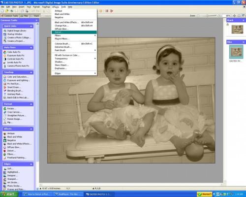 La distorsión de la foto usando software Microsoft Digital Image