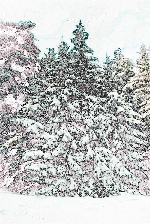 Cómo utilizar los filtros de Photoshop en las imágenes del paisaje de invierno