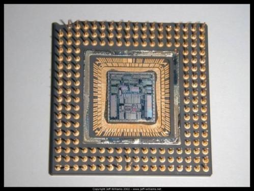 Vs. Intel AMD viruta