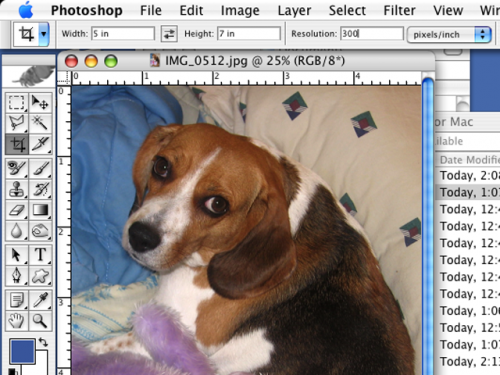 Cómo usar Photoshop para Mac